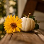 GLG Thanksgiving Program and Lunch