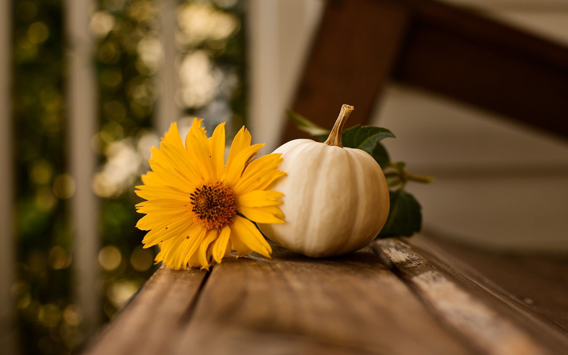 GLG Thanksgiving Program and Lunch
