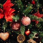 Shut In Christmas Fruit Baskets